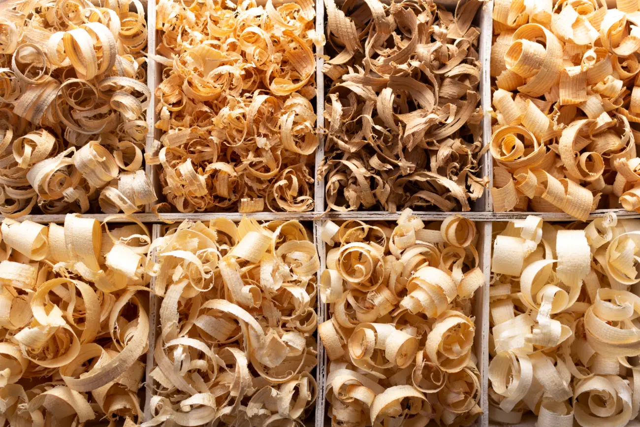 3zrebowanie 3zrebowanie